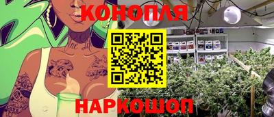 гидропоника Тверь