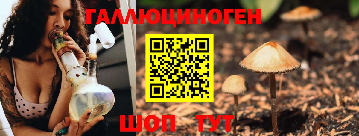 Ноябрьск  Галлюциногенные грибы Psilocybe  Вход с VPN  Псилоцибиновые грибы Psilocybe 
